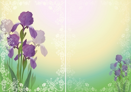 Background for greetings card with flower iris and floral outline pattern  Vector eps10, contains transparenciesのイラスト素材