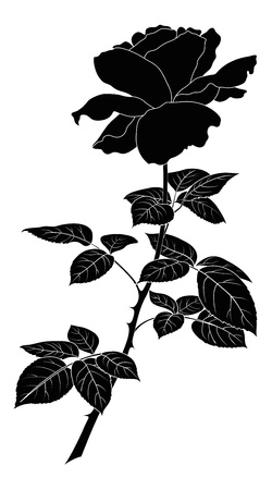 Flower rose, petals and leaves, black silhouette on white background  illustrationのイラスト素材
