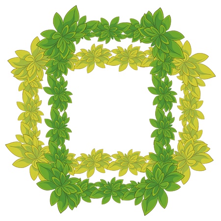 White background with a frame of fresh leaves of plants  Vectorのイラスト素材