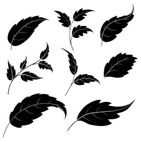 Set of leaves of plants and trees, black silhouettes on white background のイラスト素材
