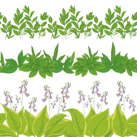 Set seamless of flowers and green grass, isolated on white background. Vectorのイラスト素材