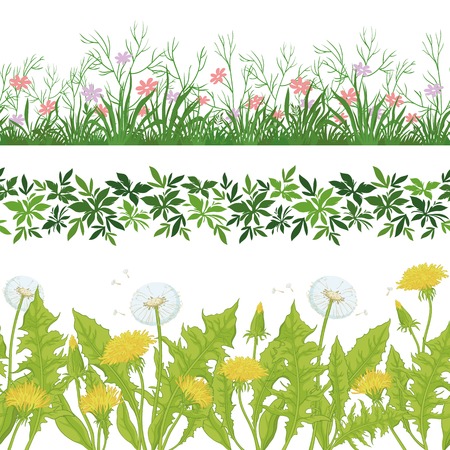 Set seamless of flowers, green grass and leaves, isolated on white background. Vectorのイラスト素材