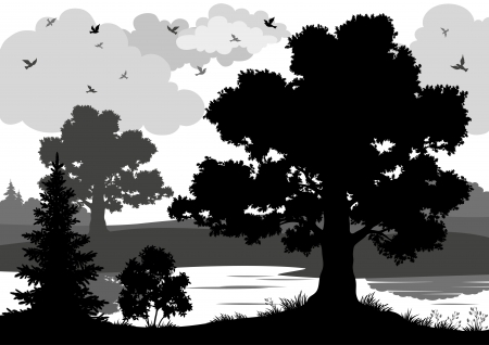Landscape, trees, river and birds, black and grey silhouette contour on white background. Vectorのイラスト素材