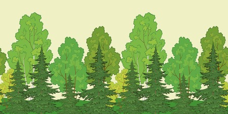 Seamless background, green summer forest with fir and birch trees. Vector