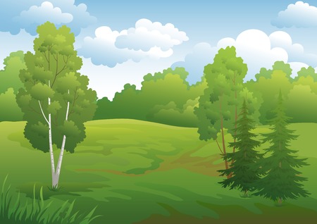 Landscape, green summer forest with fir and birch trees and cloudy skyのイラスト素材