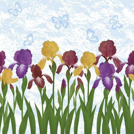 Irises flowers on an abstract blue backgroundのイラスト素材