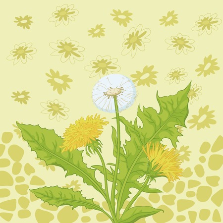 Floral background, dandelion flowers and abstract pattern. Vectorのイラスト素材