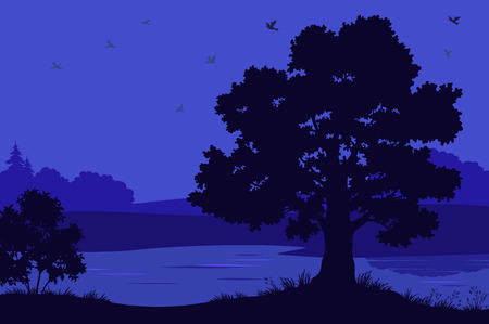 Night Landscape, Oak Tree Silhouettes, Bush and Grass on the Bank of Forest River. Vectorのイラスト素材
