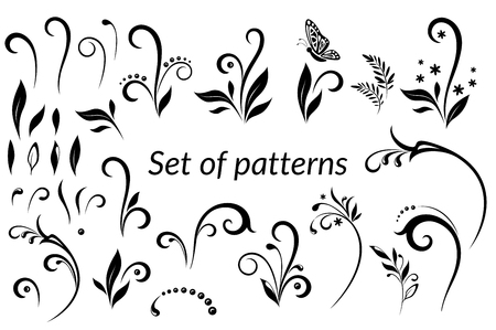 Set of Vintage Calligraphic Elements, Floral Patterns and Butterfly, Black Silhouettes Isolated on White Background.のイラスト素材