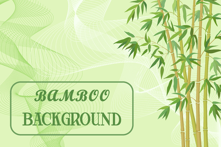 Bamboo Stems with Green Leaves on Background with Abstract Pattern.のイラスト素材