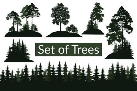 Set Isolated on White Background Landscapes, Green Coniferous and Deciduous Trees and Bushes Silhouettes, Fir, Pine, Maple, Acacia, Lilac. Vectorのイラスト素材