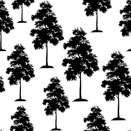 Seamless Pattern, Acacia Tree, Black Silhouette Isolated on Tile White Background. Vectorのイラスト素材