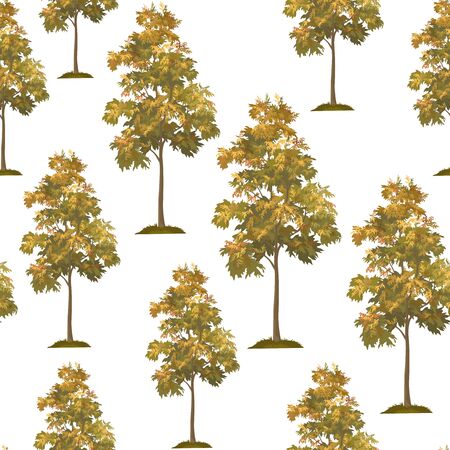 Seamless Pattern, Acacia Tree Isolated on Tile White Background. Vectorのイラスト素材