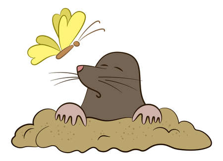 Funny Cartoon Animals, Mole And Butterfly, Isolated on White Background. Vectorのイラスト素材