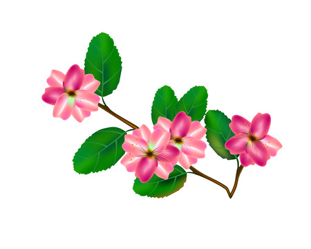 Flower brunch isolated. Colorful collection with green leaves. Vector illustration design set.のイラスト素材