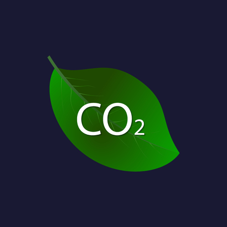 Vector image of green leaf and ecological inscription ??2のイラスト素材