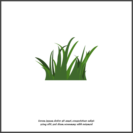 Vector image of grass. Icon of grass on white background. Layers grouped for easy editing illustration. For your design.のイラスト素材