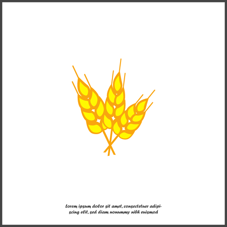 Wheat yellow cereals vector illustration. Organic grain ears. Symbol of wheat is healthy food on white isolated background. Layers grouped for easy editing illustration. For your design.のイラスト素材