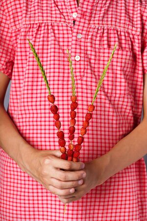 Little girl holding organic wild strawberries on straw. Summer forest food. Selective focus.の写真素材