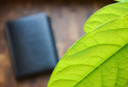Close-up green leaves on a blurred background of a black notepad with a pen on a wooden table. Home...