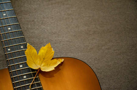 Close-up yellow maple leaf on guitar isolated on a blurred gray background with copy space. Autumn concept. Music concept. Guitar neck texture. Gray fabric surface. The creative process.の写真素材