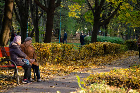 Lutsk, Ukraine - November 8, 2020. Caucasian older women sitting on bench in autumn park. Pensioners have rest and communicate.のeditorial素材