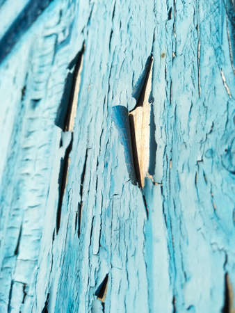 Close-up old blue cracked paint. The texture of the old emerald paint with cracks. Dried in the sun...