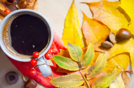 Selective focus cup of coffee on background of yellow, red, green, brown autumn leaves, rowan, acorns. Autumn composition on beige background. Hugge concept with copy space. Top view, flat lay.の写真素材
