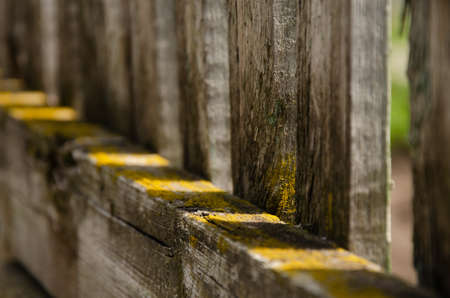 Abstract background. Old wooden fence. The sun's rays break through the wooden beams. Moss surface texture on wood with copy space.の写真素材