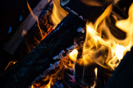 Close up burning logs in fire. Macro shooting of flames. Selective focus tongues of flame. Logs burn in the campfire.の写真素材