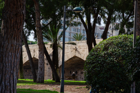 A peaceful city park scene with a historic stone bridge, palm trees, and a person relaxing on a bench in the shade. Urban nature and tranquil outdoor atmosphere.の写真素材