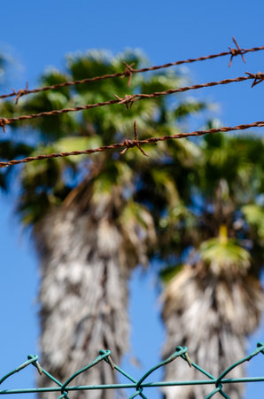 Rusty barbed wire prevents access to tropical palm trees under a bright blue sky, symbolizing...