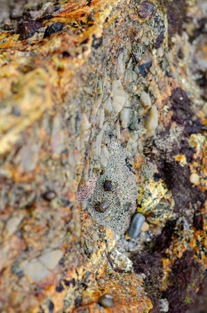 Close-up of a rugged rock face covered with various minerals and orange lichen, showcasing natural...