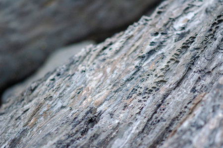 Detailed rocky texture showcasing layers of weathered stone, perfect for nature backgrounds or geology concepts. High-resolution macro shot with natural colors.の写真素材