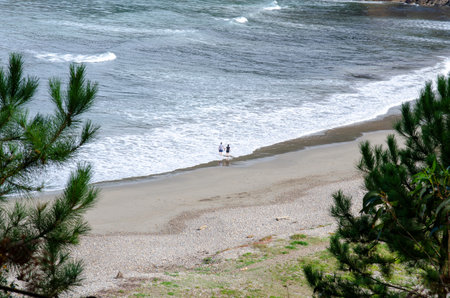Scenic coastline with a couple strolling by the water edge, peaceful atmosphere, and lush greenery. Perfect for travel or nature concepts.の写真素材