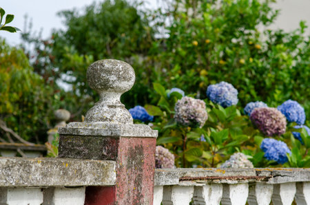 Old stone fence post with textured surface in a blooming backyard garden with vibrant hydrangeas. Tranquil summer atmosphere, rustic charm, outdoor floral background.の写真素材