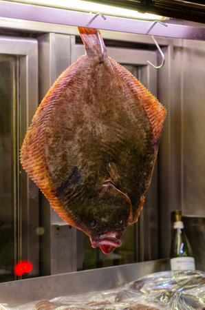 Whole turbot fish is showcased on a metal hook at a seafood counter, ideal for culinary, gastronomy or market-related themes. Freshness and premium seafood concept.の写真素材