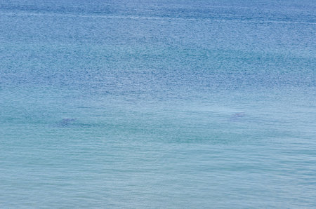 Tranquil seascape with clear blue water and subtle wave patterns, evoking relaxation and peace....