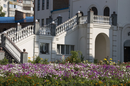 Stairs and flowersの写真素材