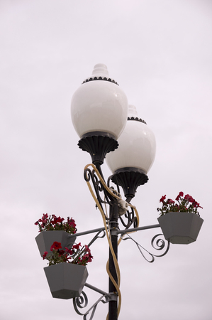 Lantern with blooming flowers. Autumn with dark skyの写真素材
