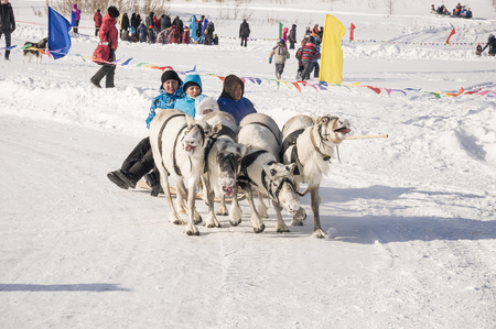 New Urengoy, YaNAO, North of Russia. March 1, 2016. The holiday of north nationality. Nenets man and north deer in winter dayのeditorial素材