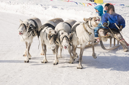 New Urengoy, YaNAO, North of Russia. March 1, 2016. The holiday of north nationality. Nenets man and north deer in winter dayのeditorial素材