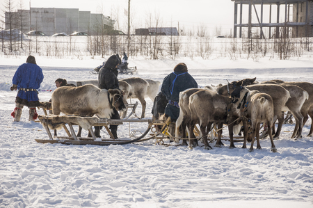 New Urengoy, YaNAO, North of Russia. March 1, 2016. The holiday of north nationality. Nenets man and north deer in winter dayのeditorial素材