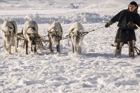 New Urengoy, YaNAO, North of Russia. March 1, 2016. The holiday of north nationality. Nenets man and north deer in winter dayのeditorial素材
