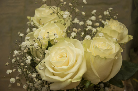 White tender roses in the bouquetの写真素材