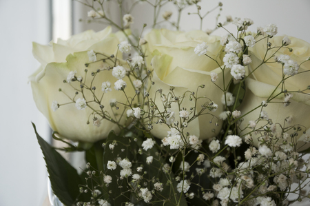White tender roses in the bouquetの写真素材