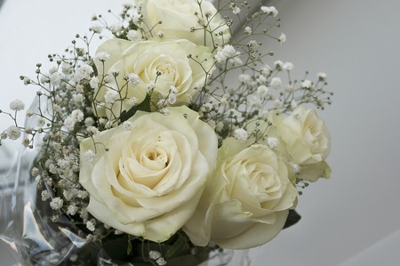 White tender roses in the bouquetの写真素材
