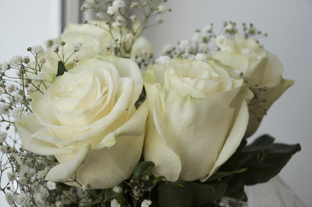 White tender roses in the bouquetの写真素材
