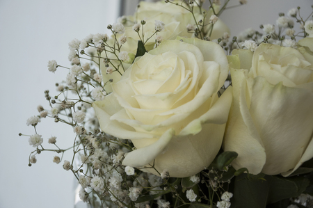 White tender roses in the bouquetの写真素材