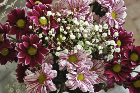 Multi color bouquet with such flower as dahlia and chrysanthemumの写真素材